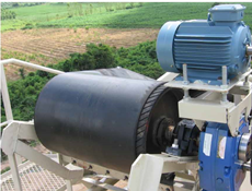 Head pulley
